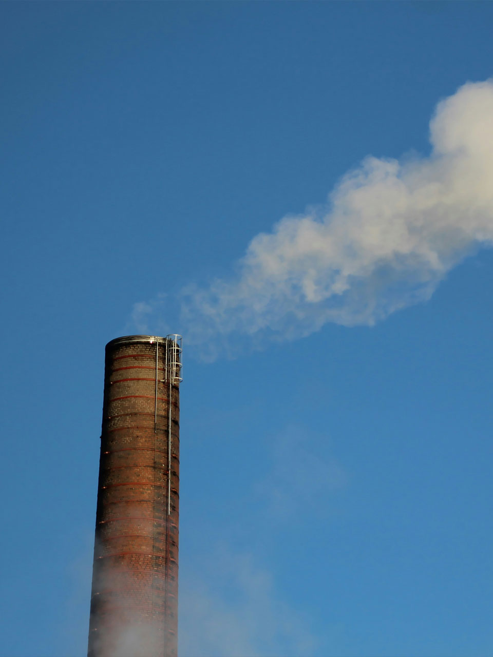 The Role of Social Determinants of Health in Managing Chronic Conditions 4 Pollution in the City and The Role of Social Determinants of Health in Managing Chronic Conditions
