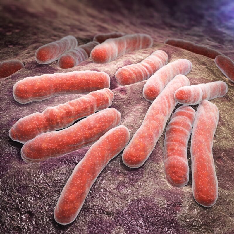 Drug-Resistant Tuberculosis